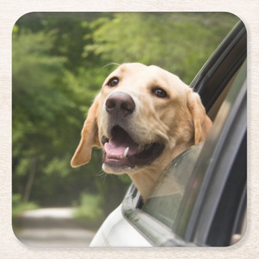 Golden Labrador in Rearview Mirror Rechteckiger Pappuntersetzer (Vorderseite)