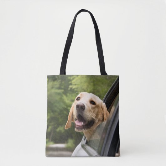 Golden Labrador in Rearview Mirror Tasche (Vorderseite)