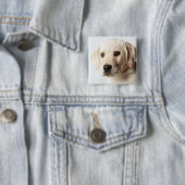 Golden Labrador Puppy Closeup Button (Beispiel)