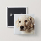 Golden Labrador Puppy Closeup Button (Vorne & Hinten)