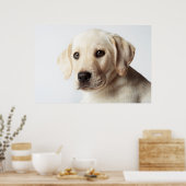 Golden Labrador Puppy Closeup Poster (Küche)