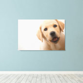 Golden Labrador Puppy Leinwanddruck (Insitu (Holzboden))