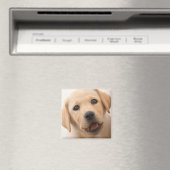 Golden Labrador Puppy Magnet (In Situ (Geschirrspüler))