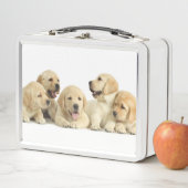 Golden Labrador Puppy Metall Brotdose (Beispiel)