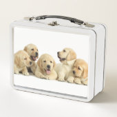 Golden Labrador Puppy Metall Brotdose (Vorderseite)