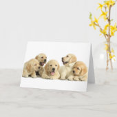 Golden Labrador Puppy Pile Karte (Gelbe Blume)