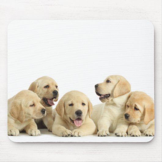 Golden Labrador Puppy Pile Mousepad (Vorne)