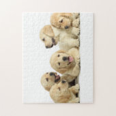 Golden Labrador Puppy Pile Puzzle (Vertikal)