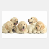 Golden Labrador Puppy Pile Rechteckiger Aufkleber (Vorderseite)