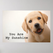 Golden Labrador Puppy Poster (Vorne)