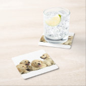 Golden Labrador Puppy Rechteckiger Pappuntersetzer (Vor Ort)