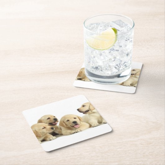Golden Labrador Puppy Rechteckiger Pappuntersetzer (Vor Ort)