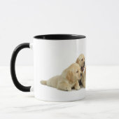 Golden Labrador Puppy Tasse (Links)