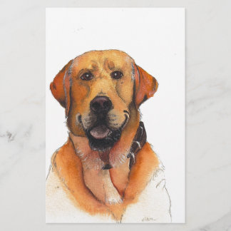 Golden Labrador Retriever
