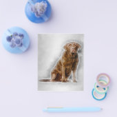 Golden Labrador Retriever 8 Jahre alt Flyer (Einzeln)