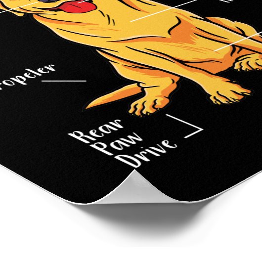 Golden Labrador Retriever Anatomie eines Retriever Poster (Ecke)
