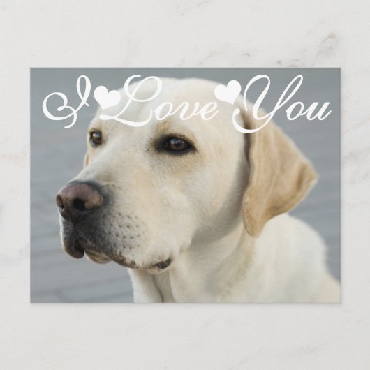 Golden Labrador Retriever Foto Image I Liebe You Postkarte (Vorderseite)