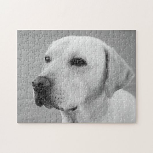 Golden Labrador Retriever Fotografie| BW Puzzle (Horizontal)