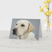 Golden Labrador Retriever Fotografie Karte (Gelbe Blume)