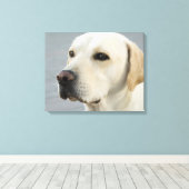 Golden Labrador Retriever Fotografie Leinwanddruck (Insitu (Holzboden))