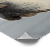 Golden Labrador Retriever Fotografie Poster (Ecke)