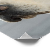 Golden Labrador Retriever Fotografie Poster (Ecke)