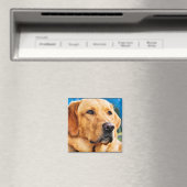 Golden Labrador Retriever Magnet (In Situ (Geschirrspüler))