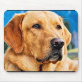 Golden Labrador Retriever Mousepad (Vorne)