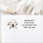 Golden Labrador Retriever, Pet dog, Wasserfarbe (Insitu)