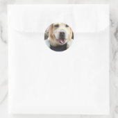 Golden Labrador Retriever Runder Aufkleber (Tasche)