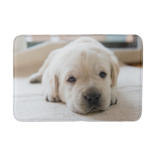 Golden Labrador Welpe Badematte (Vorderseite)