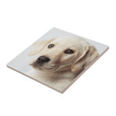 Golden Labrador Welpe Fliese (Seite)