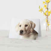 Golden Labrador Welpe Karte (Gelbe Blume)