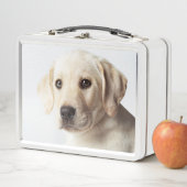 Golden Labrador Welpe Metall Brotdose (Beispiel)