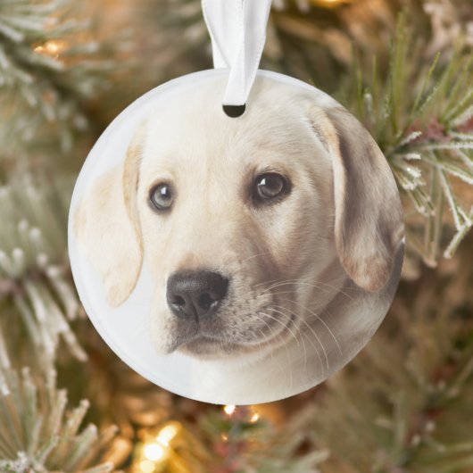 Golden Labrador Welpe Ornament (Baum)
