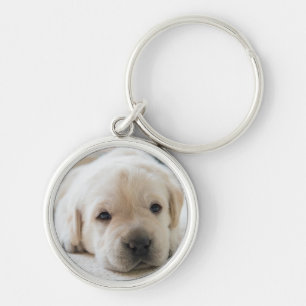 Golden Labrador Welpe Schlüsselanhänger