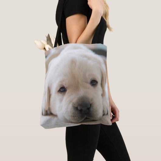 Golden Labrador Welpe Tasche (Von Nahem)