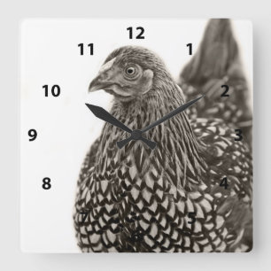 Golden Laced Wyandotte Chicken Quadratische Wanduhr