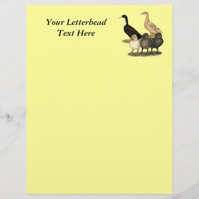 Golden Layer Duck (Vorderseite)