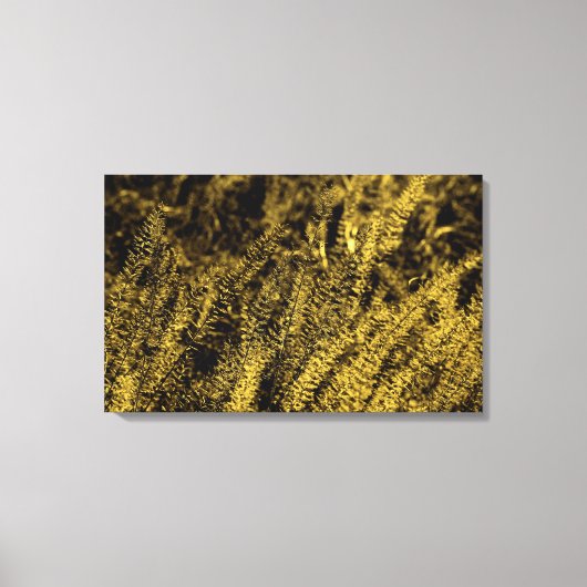 Golden Light Grass Canvas Print Leinwanddruck (Vorderseite)