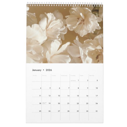 Golden Light Kalender 2026 (mittel) (Jan 2026)