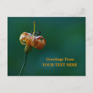 Golden Lily Wildblume Grußfreuden beibehalten Postkarte