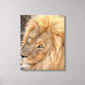 Golden Lion Mane Leinwanddruck (Vorderseite)