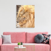 Golden Lion Mane Leinwanddruck (Insitu (Wohnzimmer))