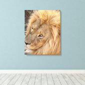 Golden Lion Mane Leinwanddruck (Insitu (Holzboden))