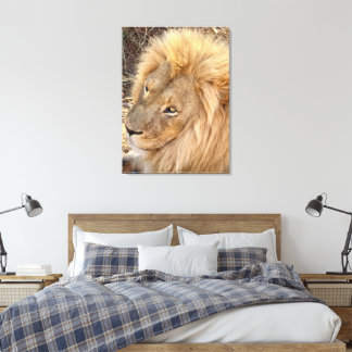 Golden Lion Mane Leinwanddruck