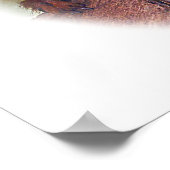 Golden Lion Tamarin, Golden Marmoset Monkey Brasil Poster (Ecke)