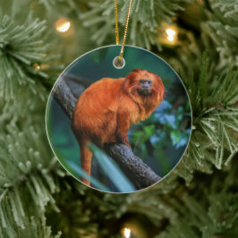 Golden Lion Tamarin Keramik Ornament