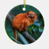 Golden Lion Tamarin Keramik Ornament (Vorne)