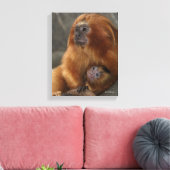 Golden Lion Tamarin mit Baby Leinwanddruck (Insitu (Wohnzimmer))